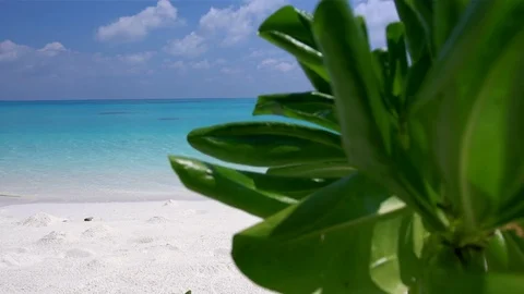 Tropical island at maldivian atoll in Indian Ocean Stock Footage