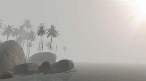 Tropical island with palms on sand beach in fog Stock Footage