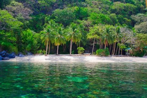 On a tropical island. Stock Photos