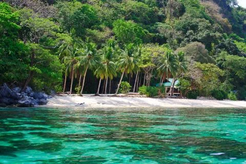 On a tropical island. Stock Photos