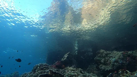 Tropical Island Rippling Reflection From Under the Surface 스톡 동영상 128525619