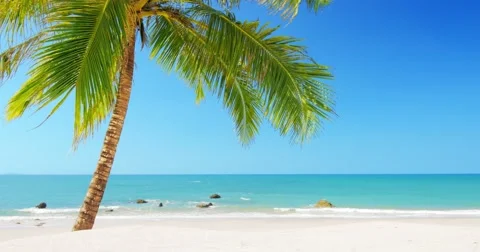 Tropical island vacation idyllic background. Exotic sandy beach and palm tree Stock Footage