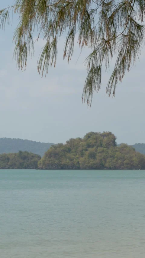 Tropical Island View Through Pine Branches in Krabi Thailand Vídeos de archivo 334313751
