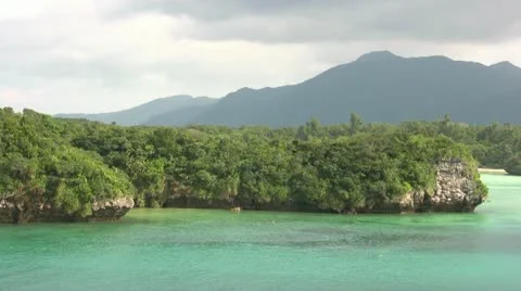 Tropical Islands Video stock 12518364