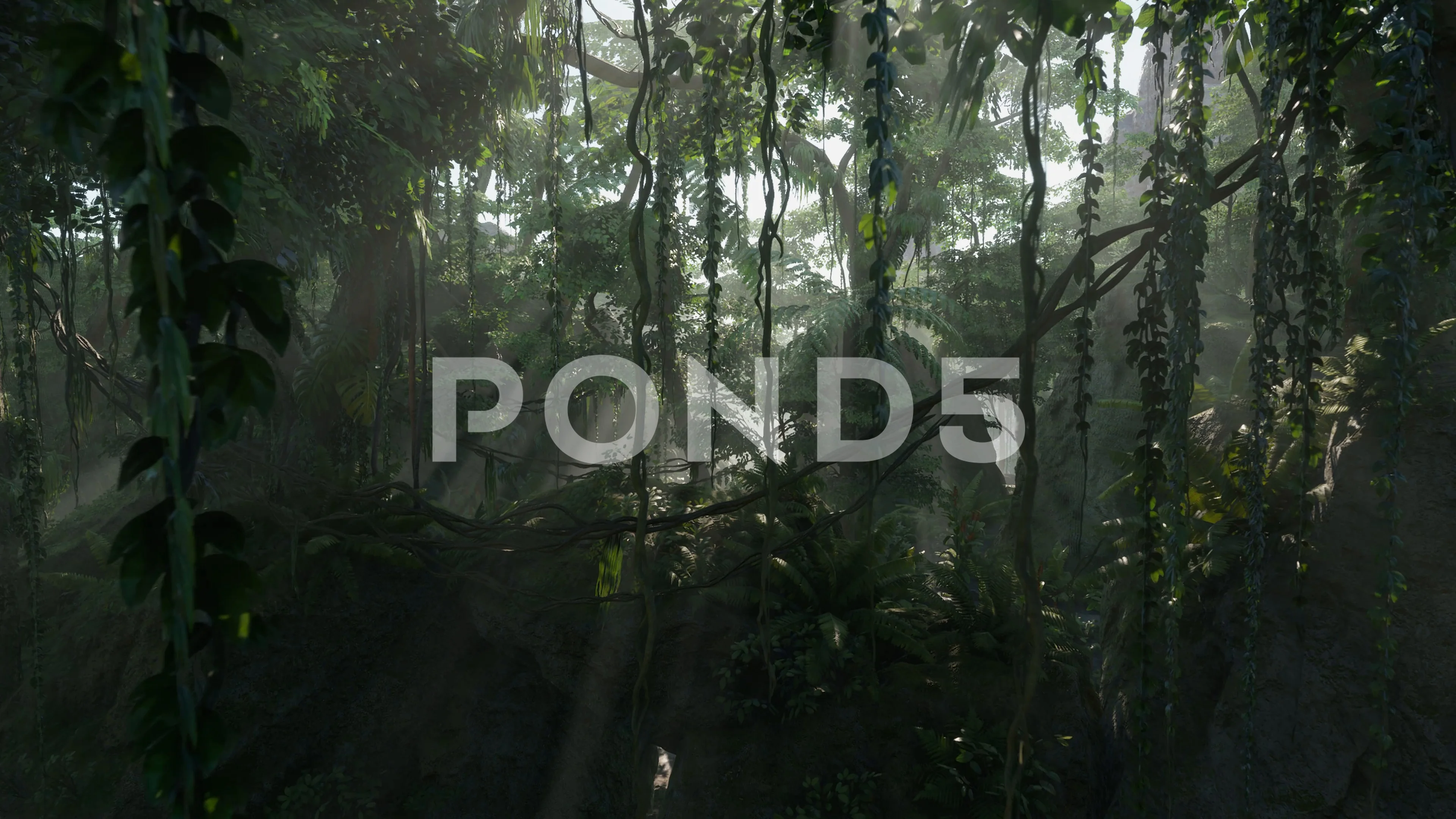 Tropical Jungle Background In Dense Jung... | Stock Video | Pond5