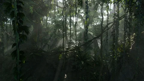 Tropical Jungle Background In Dense Jungle Rain Forest 3D Animation Realistic 4K Stock Footage