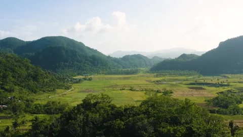Tropical jungle with fields Stock Footage 255626537