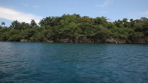 Tropical Jungle Stock Footage 137550087