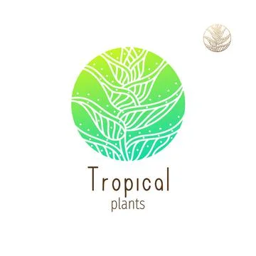 Tropical jungle logo Stock Illustration