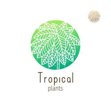 Tropical jungle logo Stock Illustration