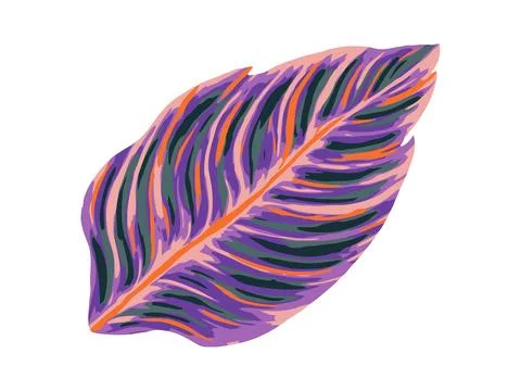 Tropical jungle palm vector leaf. Realistic hand drawn illustration. Isolated on Stock Illustration