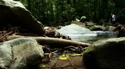 Tropical Jungle River Stock Footage 21929193