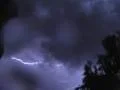 Tropical Jungle Storm Lightning 4x3 Footage