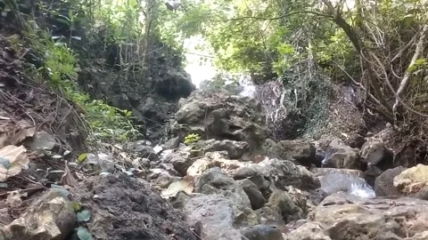 Tropical Jungle Stream Stock Footage 333121854