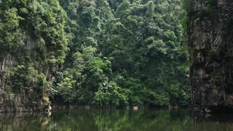 Tropical lagoon with limestone cliffs and jungle in Southeast Asia Видео 333045753