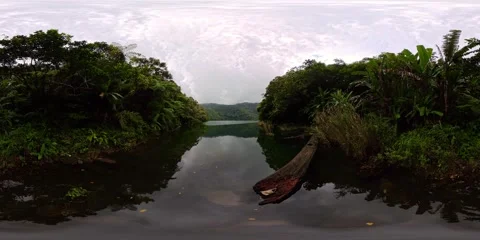 Tropical lake with dense forest and fallen log. Balinsasayao Twin Lakes Stock Footage 337447407