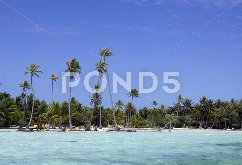 Tropical land Stock Photos