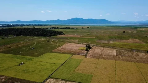 Tropical Landscape With Farmer Fields Видео 113955618