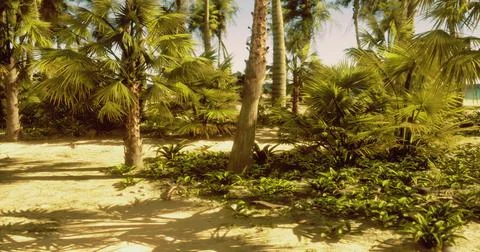 Tropical landscape featuring palm trees and lush vegetation near the beach イラスト素材