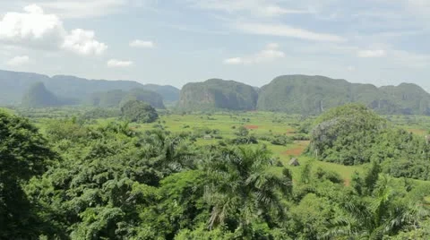 Tropical landscape Stock Footage 12184023