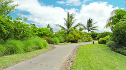 Tropical landscape Stock Footage 20448335