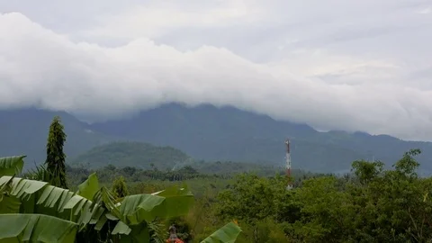 Tropical landscape Stock Footage 81012930