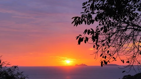 Tropical landscape Stock Footage 129318690