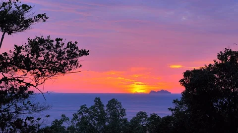 Tropical landscape Stock Footage 129319227