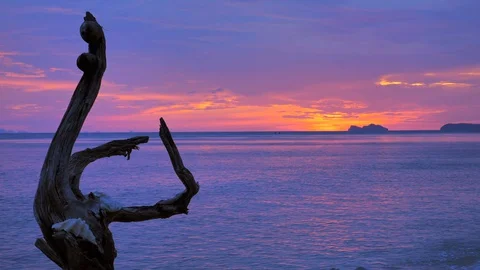 Tropical landscape Stock Footage 129320644