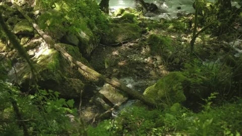 Tropical landscape Stock Footage 203873624