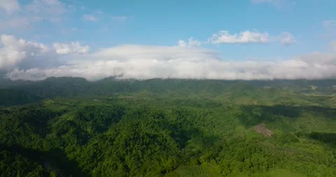Tropical landscape with mountains. Stock Footage 322085906