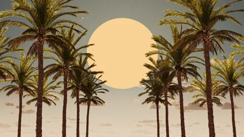 Tropical landscape with palm trees and clouds. Tourism, travel, weekend. Video stock 281290128
