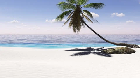 Tropical landscape with palm trees, sky and sea Stock-Footage 299947316