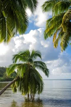 Tropical landscape Stock Photos