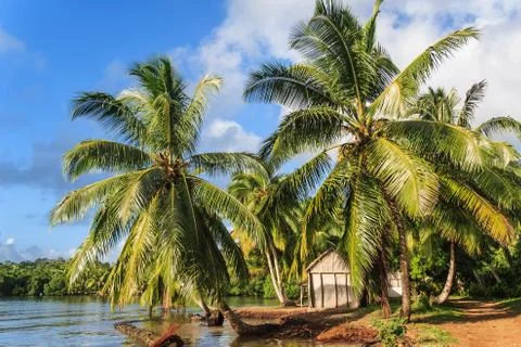 Tropical landscape Stock Photos