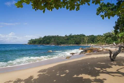 Tropical landscape Stock Photos