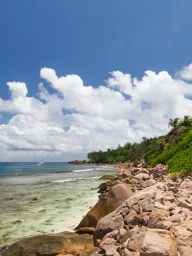 Tropical landscape Stock Photos