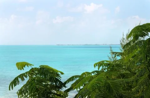 Tropical Landscape Stock Photos