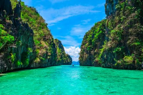 Tropical landscape Stock Photos