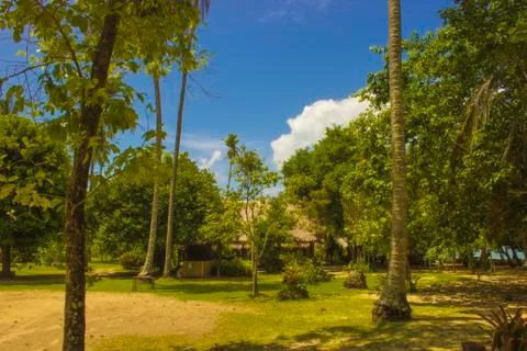 Tropical landscape Stock Photos