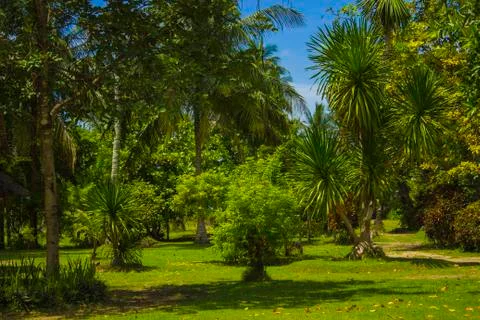 Tropical landscape Fotos de archivo