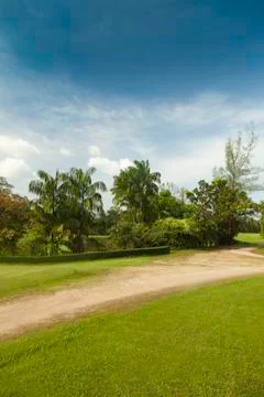 Tropical landscape. Stock Photos