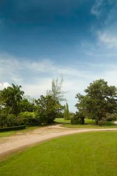 Tropical landscape. Stock Photos