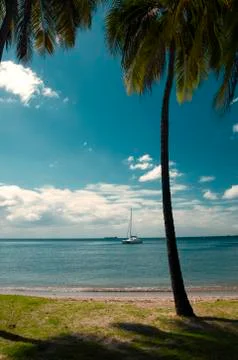Tropical Landscape Stock Photos
