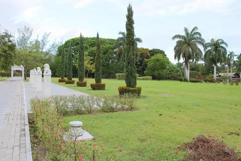 Tropical landscape Stock Photos