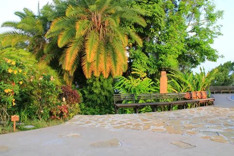 Tropical landscape Stock Photos