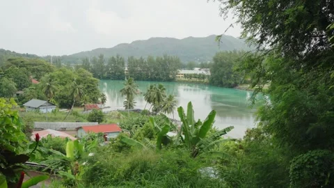 Tropical landscape on Praslin, Seychelles, featuring palm trees, a lagoon Stock-Footage 331505553