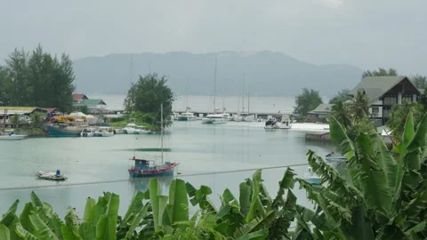 Tropical landscape on Praslin, Seychelles, featuring palm trees, a lagoon 库存影片 331505601
