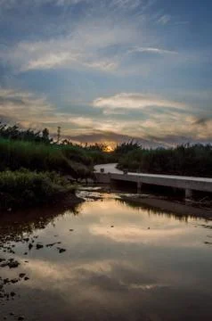 Tropical landscape with a reflection. Stock Photos