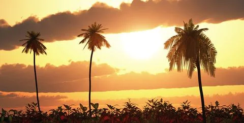 Tropical landscape at sunset Stock Illustration